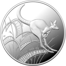 Silber känguru silver gebraucht kaufen  Leipzig