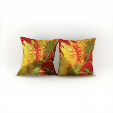 Modern outdoor pillows for sale  Jackson