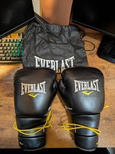 Everlast boxing gloves for sale  Renton