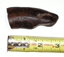 Unknown fossil boar for sale  Ashland