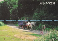 D296312 new forest. for sale  WARLINGHAM
