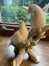 white doves pure for sale white doves pure for sale Ossineke