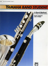 Feldstein sandy. yamaha usato  Firenze