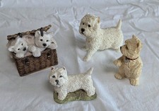 Group white scottie for sale  DUNDEE