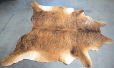 Large brindle cowhide for sale  Boise