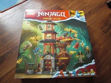Tempel drachenpower lego gebraucht kaufen  Vitte