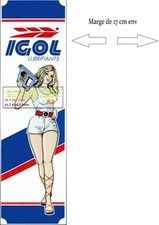 Pin igol lubrifiants d'occasion  Épernay
