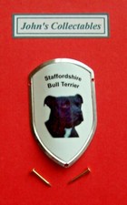 Staffordshire bull terrier for sale  CLACTON-ON-SEA
