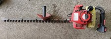 Little wonder hedge for sale  Rochester