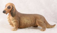 Vaga long haired for sale  CAMELFORD