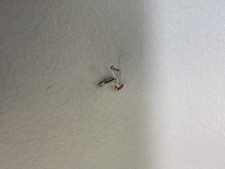 Rolex 3135 421 usato  Milano