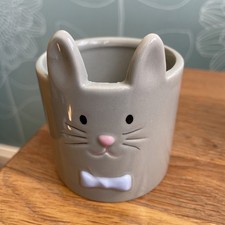 Bunny small cactus for sale  FELTHAM