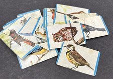 quaker bird for sale  Boise