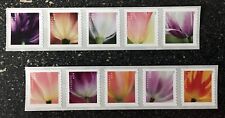 2023EUA #5767-5776a Forever Tulip Blossoms 2 tiras de bobina de 5 (10) flores perfeitas comprar usado  Enviando para Brazil
