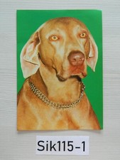 Cmx 15cm chien d'occasion  Vieux-Condé