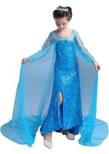 Prinzessin elsa gefrorener gebraucht kaufen  Kirchheim b.München