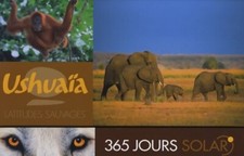 365 jours solar d'occasion  Hennebont
