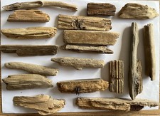 16cm driftwood pieces for sale  CLACTON-ON-SEA
