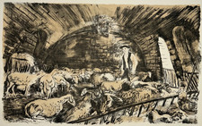 Berger moutons edy d'occasion Berger moutons edy d'occasion  Pluvigner