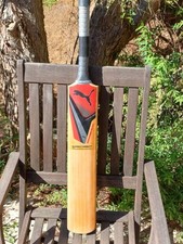 2014 puma platinum for sale  SOUTHAMPTON