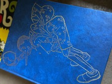 Pinocchio libro illustrato usato  Padova