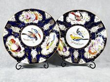 Wonderful pair coalport for sale  TADWORTH