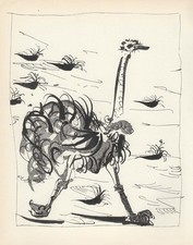 Pablo picasso the usato Pablo picasso the usato  Castellammare di Stabia