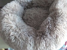 Soft fluffy pet for sale  SWINDON