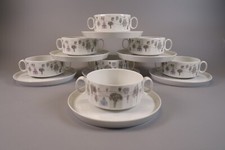 Rosenthal polygon winterreise gebraucht kaufen  Dreieich