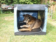 Hundebox faltbar petsfit gebraucht kaufen  Erlangen