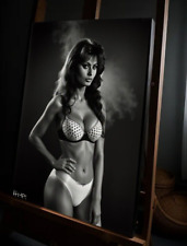 Quadro sexy sophia usato  Italia