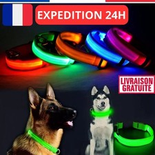 Collier chien lumineux d'occasion  Bobigny