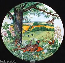 Wedgwood colin newman gebraucht kaufen  Bessenbach
