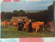 Lozere troupeau monts d'occasion  Romagnat