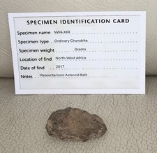 Meteorite asteriod belt for sale  CALNE