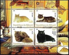 Gatti animali maine usato  Trambileno