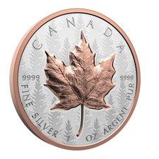 2025 canada ultra d'occasion  Expédié en Belgium