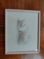 Sleepy time cat for sale  LONDON