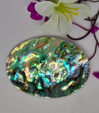 Perlmuttbrosche abalone musche gebraucht kaufen  Plau