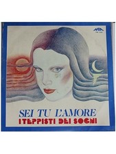 Vinile giri teppisti usato  Messina
