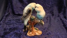 Two parakeet birds for sale  Augusta