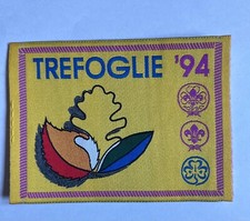 Agesci scout evento usato  Sirmione