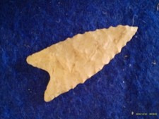 Paleo arkansas dalton for sale  Canyon Lake