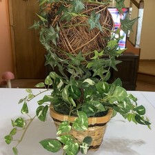 Faux english ivy for sale  Indianapolis