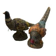 Pheasants wild game for sale  Brave