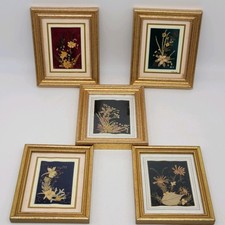 Conjunto de 5 flores secas emolduradas arte popular prensada floral pendurada na parede MCM vintage comprar usado  Enviando para Brazil