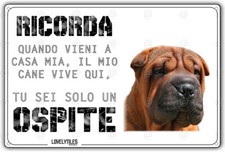 Cartello cane shar usato  Vertemate con Minoprio