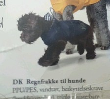 Hunter hunde regenmantel gebraucht kaufen  Castrop-Rauxel