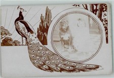 39151128 fasan privatfoto gebraucht kaufen  Eimeldingen