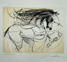 Etalon jean marie d'occasion  Pluvigner